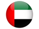 Dubai (UAE) flag